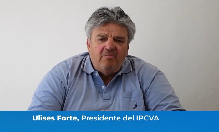 Reviva en video el seminario ganadero virtual del IPCVA en Pata...