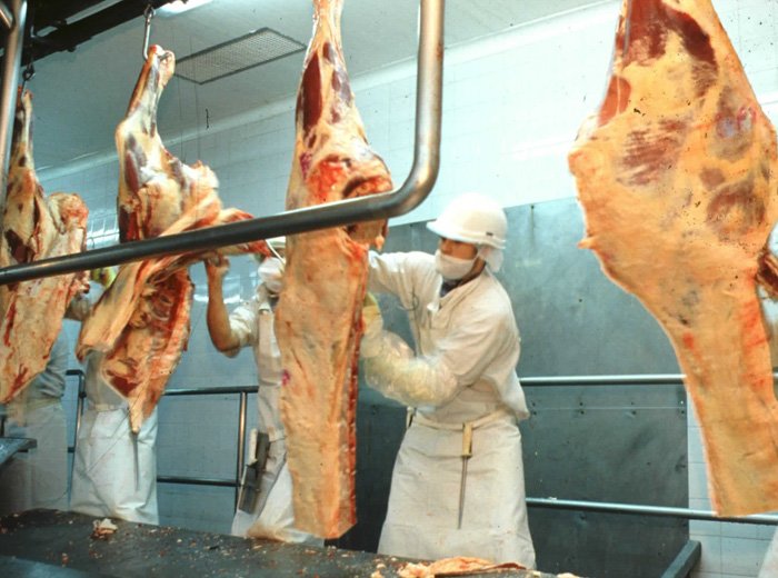 Carne vacuna argentina: exportaciones de octubre