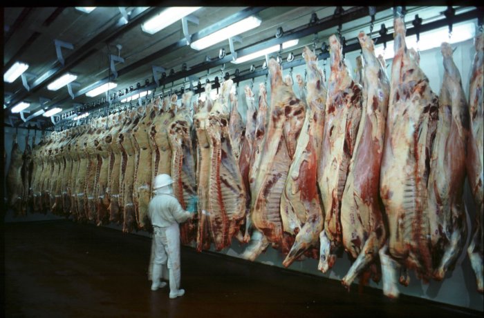 Exportaciones de carne de febrero
