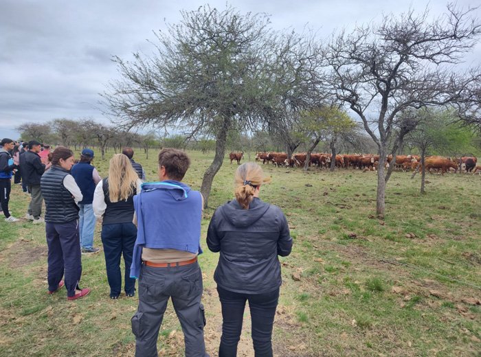 Reviva en video la Jornada a Campo del IPCVA en Hasenkamp, Entre Ríos