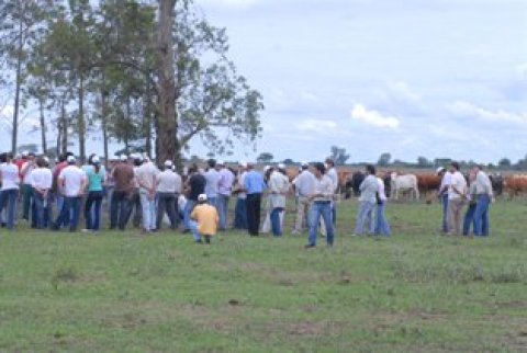 Màs de 550 productores en la Jornada a Campo del IPCVA de Sant...
